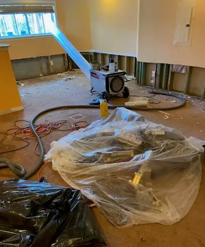 Drying equipment and extraction hoses in a Duluth room with flood cuts